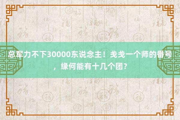 总军力不下30000东说念主！戋戋一个师的番号，缘何能有十几个团？