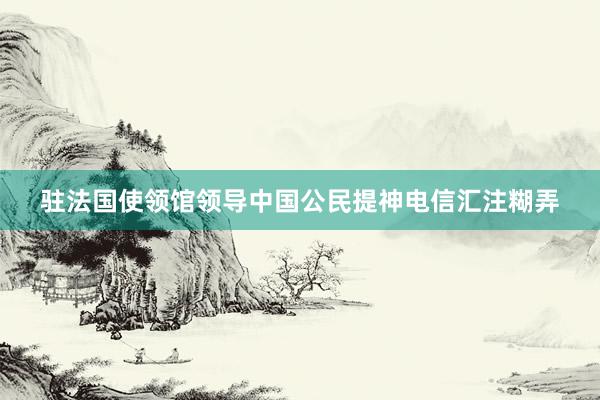 驻法国使领馆领导中国公民提神电信汇注糊弄