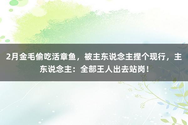 2月金毛偷吃活章鱼，被主东说念主捏个现行，主东说念主：全部王人出去站岗！