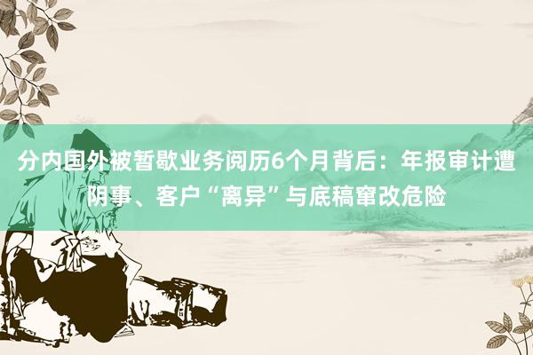 分内国外被暂歇业务阅历6个月背后：年报审计遭阴事、客户“离异”与底稿窜改危险